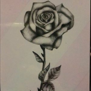 Meet your Posher, Monika